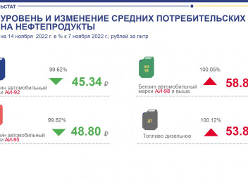 Территориальный орган государственной статистики